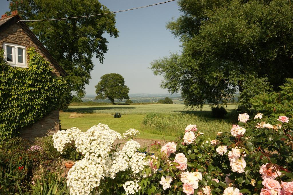 Hills Farm Bed and Breakfast Leominster Værelse billede