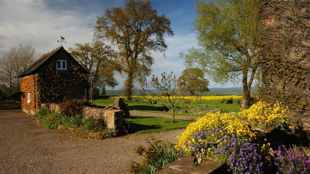 Hills Farm Bed and Breakfast Leominster Eksteriør billede